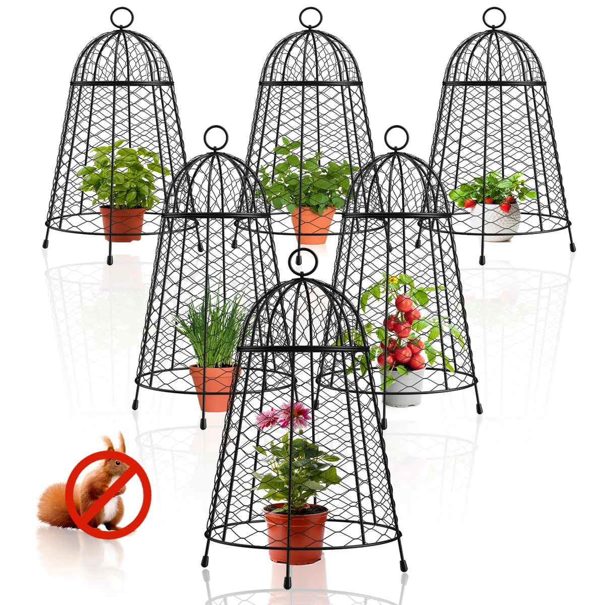 Yolid Garden Cloches for Plants Set of 6, Chicken Wire Cloche Plant
