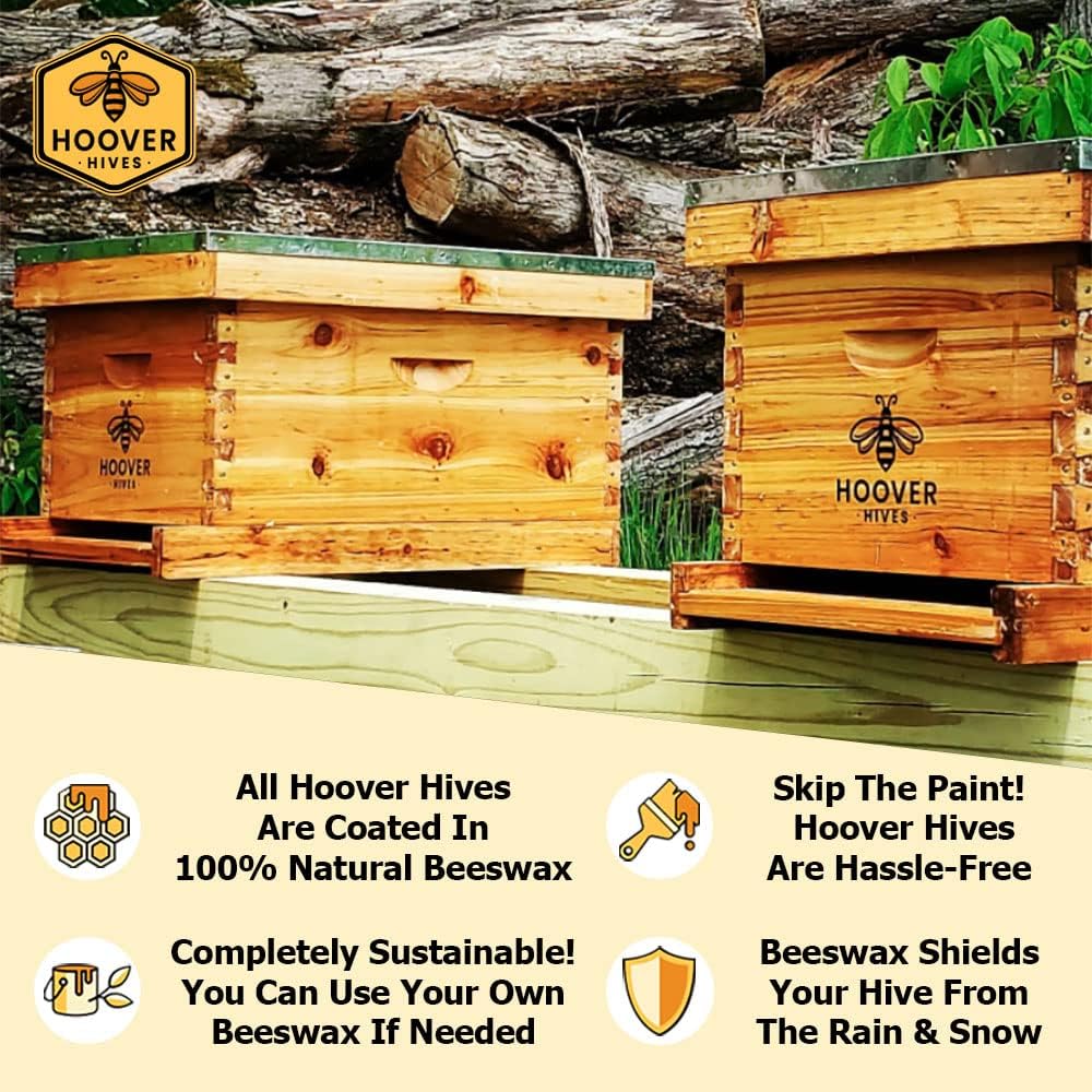 Hoover Hives Original Beeswax Coated Beehive Kit