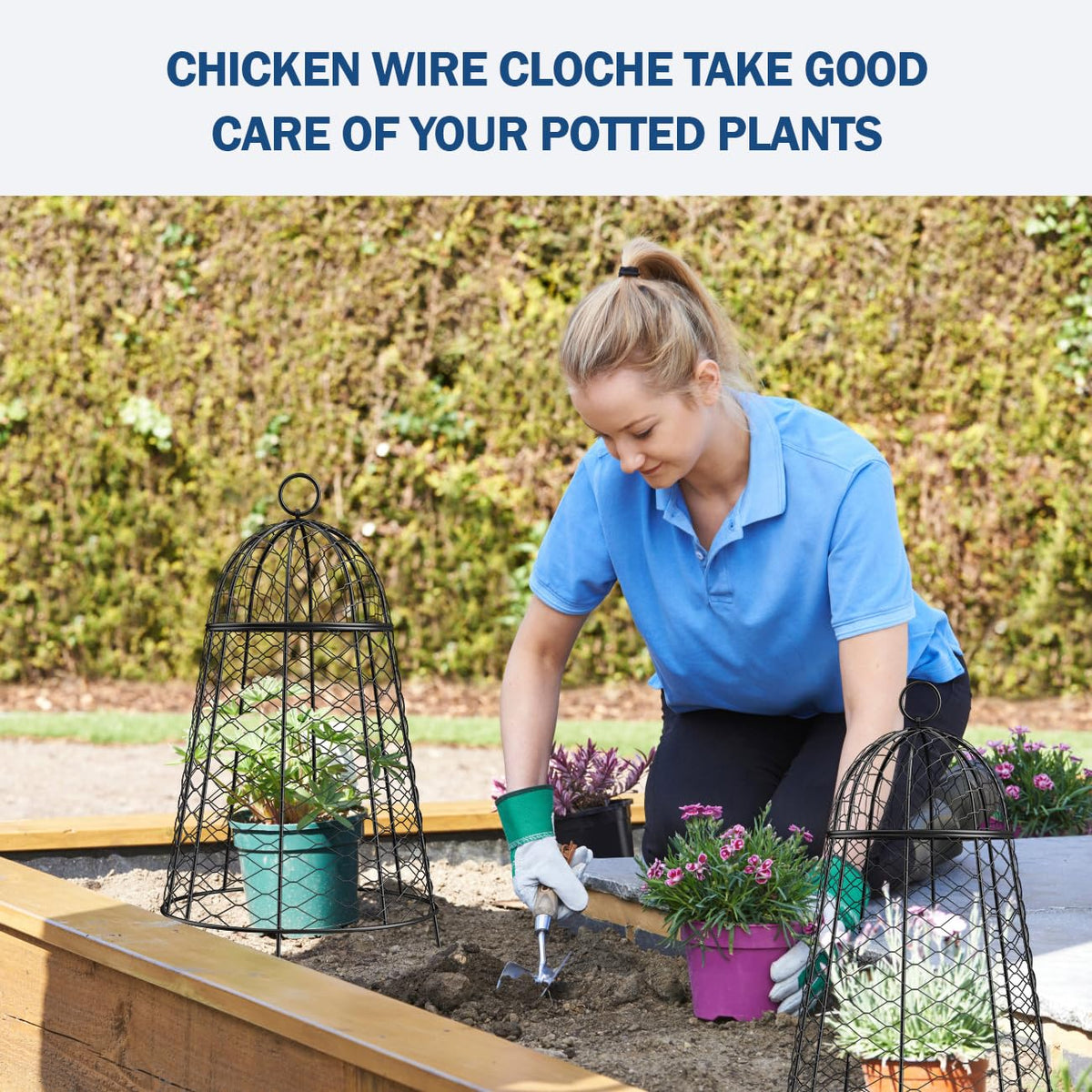 Yolid Garden Cloches for Plants Set of 6, Chicken Wire Cloche Plant